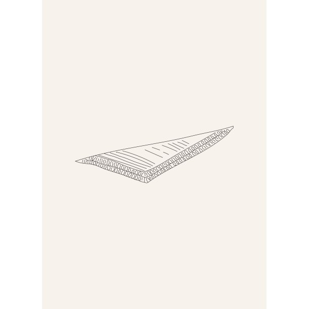 Laine - 52 Weeks of Shawls