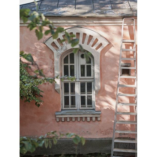 Laine Magazine No. 20