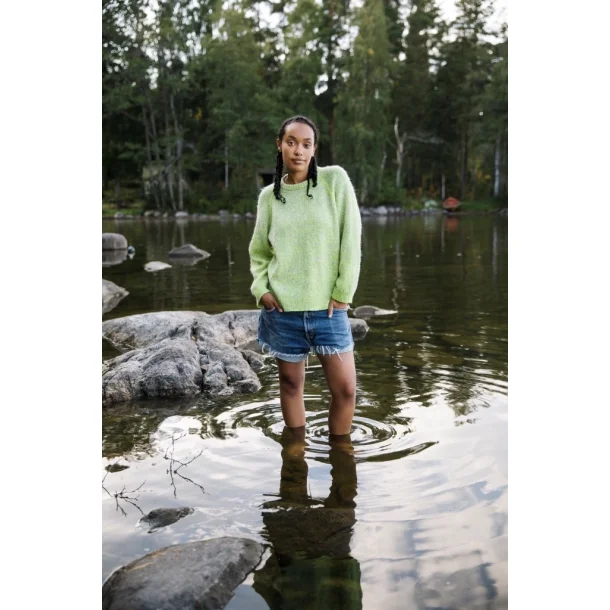 Laine Magazine No. 25