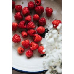 Laine Magazine No. 14