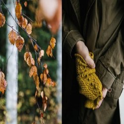 Laine - 52 Weeks of Socks