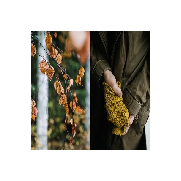 Laine - 52 Weeks of Socks