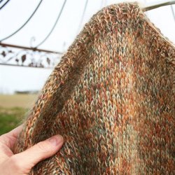 Louise Harden Design - Mollis - Orange